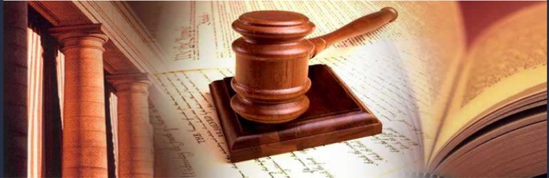 mckenzie friends law header image